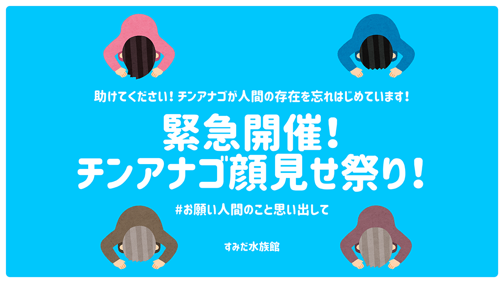 すみだ水族館 ゴールデンウイークの３日間限定 自宅でチンアナゴに会える チンアナゴ顔見せ祭り を開催 オリックス株式会社のプレスリリース