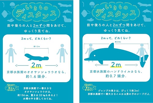 京都水族館 お客さまの 三密回避 と 衛生管理 対策を実践 いきものディスタンス を実施 オリックス株式会社のプレスリリース