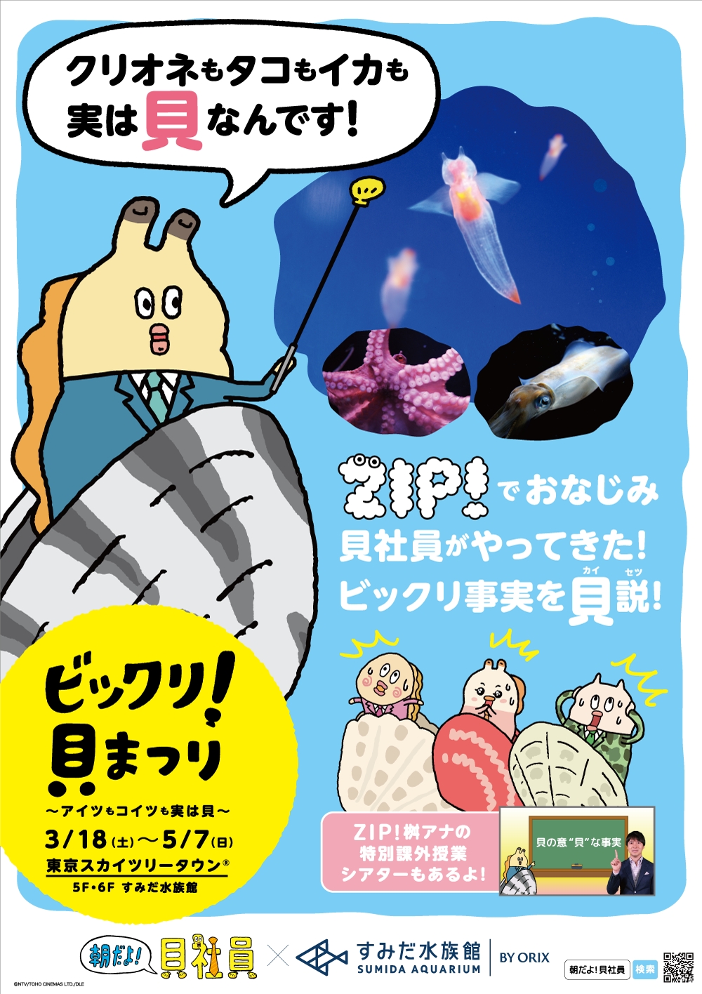 すみだ水族館 Zip 朝だよ 貝社員 ビックリ 貝まつり アイツもコイツも実は貝 を開催 オリックス株式会社のプレスリリース