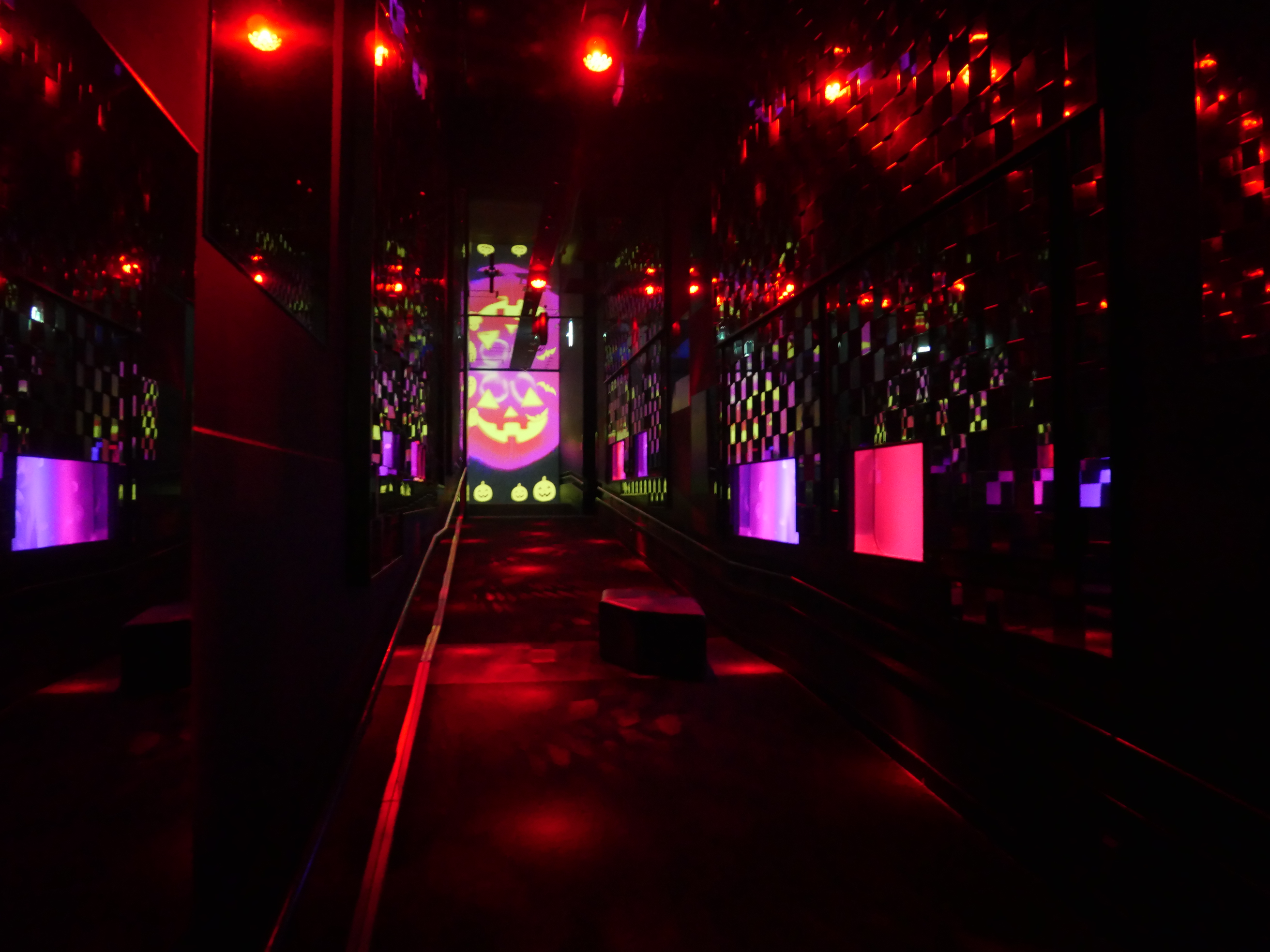 すみだ水族館 万華鏡トンネルのクラゲ展示が 昼と夜のハロウィンバージョンに ハロウィン ｉｎ すみだ水族館 を開催 オリックス株式会社のプレスリリース