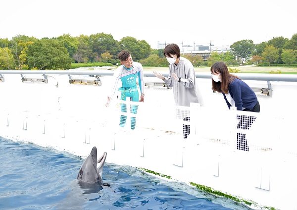 京都水族館 年間パスポート会員さま特典 イルカに近づく特別体験プログラム イルカのバックステージウォーク を開催 オリックス株式会社のプレスリリース