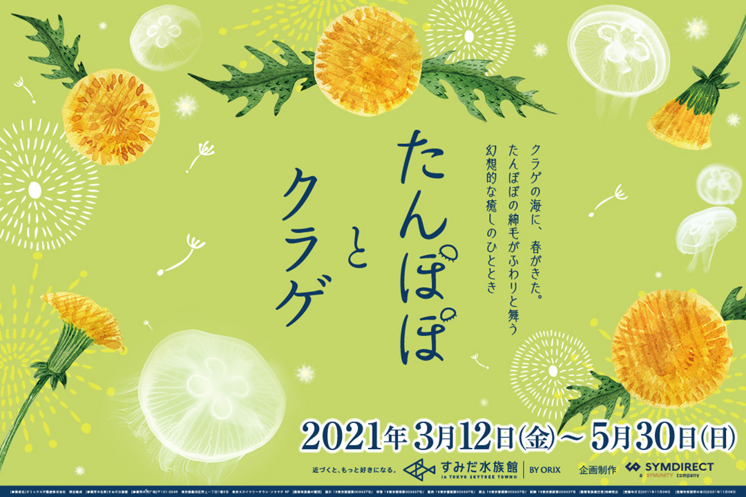 すみだ水族館 クラゲ水槽 ビッグシャーレ で春限定の演出 たんぽぽとクラゲ を3月12日 金 から開催 オリックス株式会社のプレスリリース