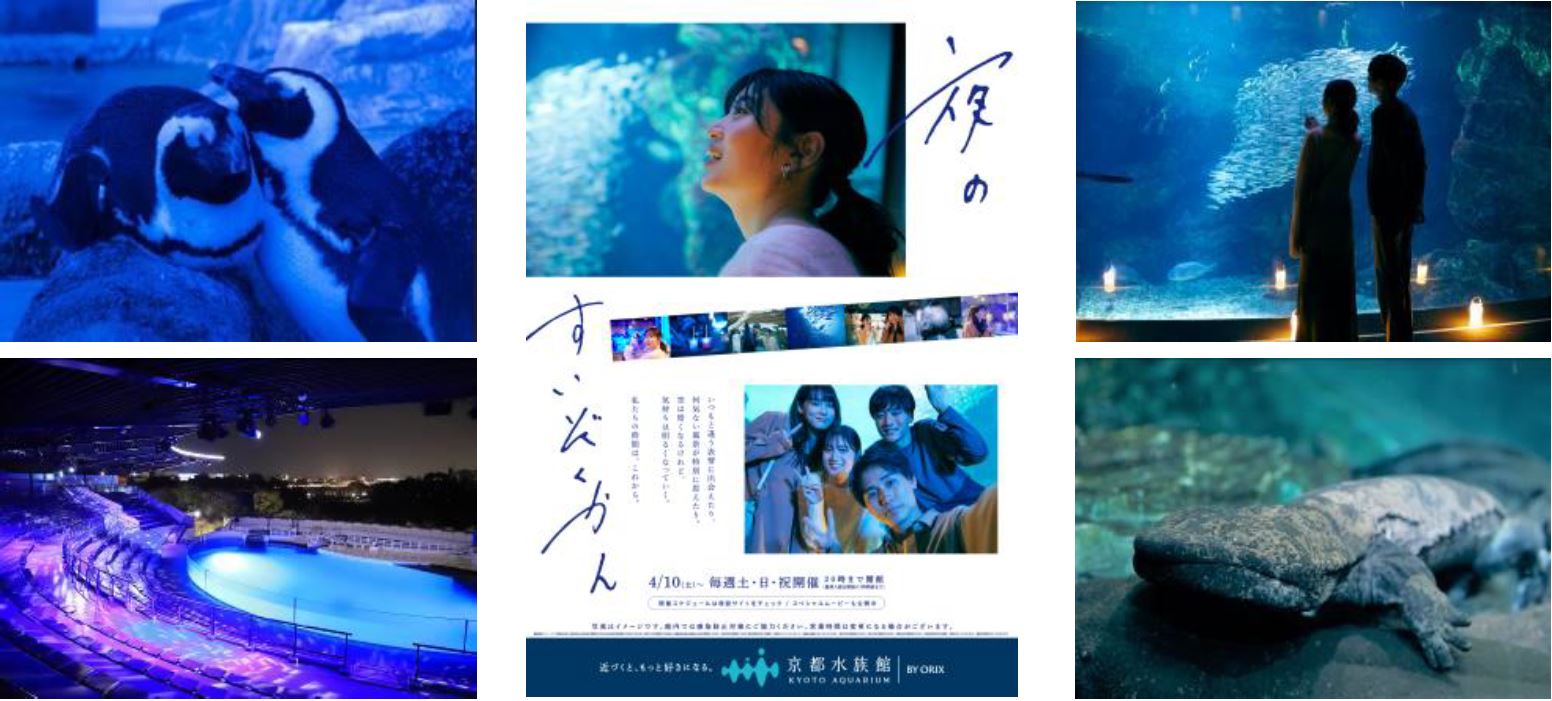 京都水族館 夜ならではの幻想的な空間でいきものたちと過ごす 夜のすいぞくかん 21年度の開催日を決定 オリックス株式会社のプレスリリース