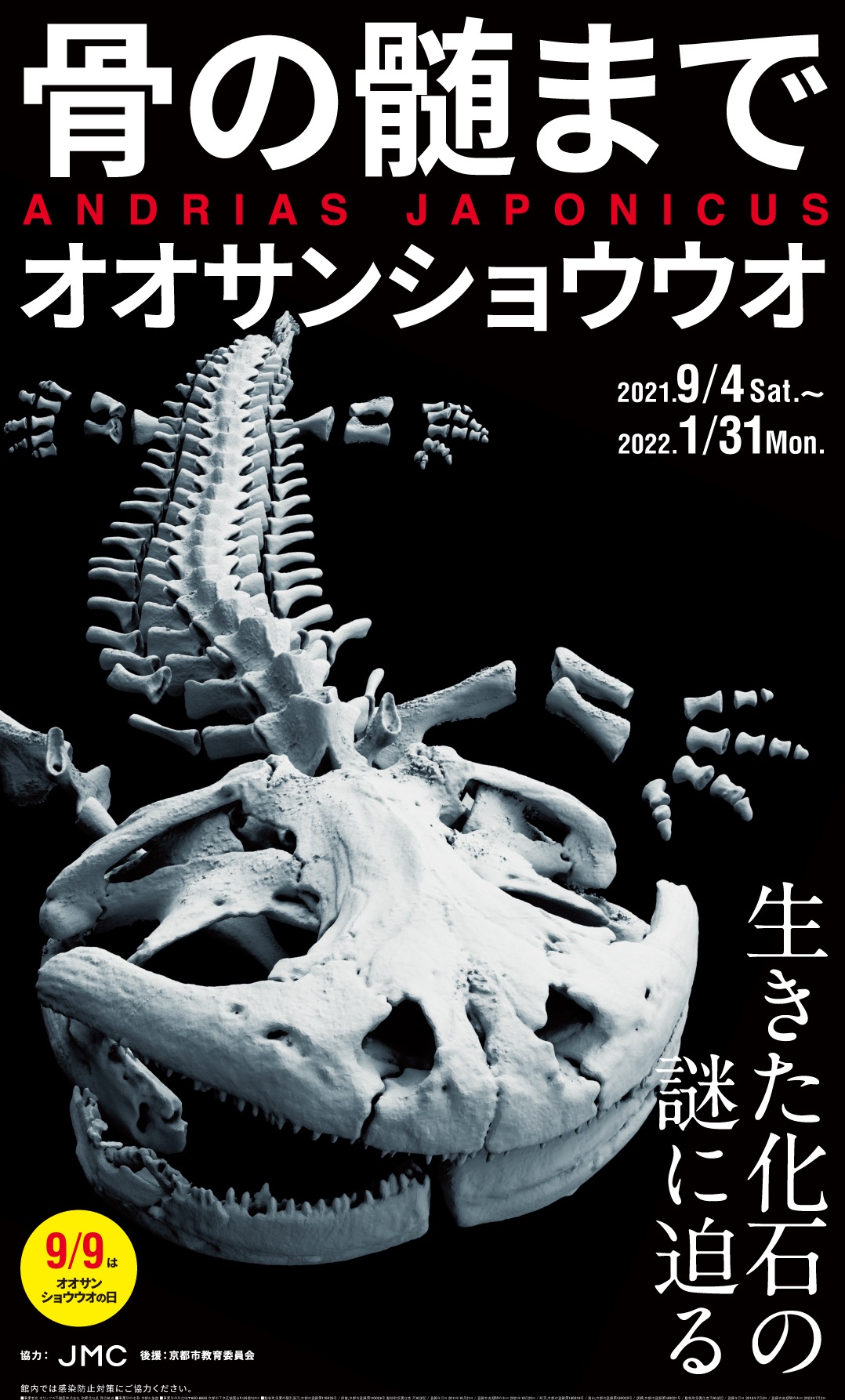 【京都水族館】9月9日はオオサンショウウオの日!「骨の髄までオオサンショウウオ」を開催｜オリックス株式会社のプレスリリース - D23075 910 F987379D7aD662628eb2 0