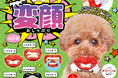 愛犬と楽しく過ごせるカプセルトイ『大変身!? 変顔おしゃぶり』 発売