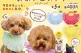 わんこ・にゃんこが本当に使える！首元をかわいくおめかしできるカプセルトイ「うちの子かわいい！ おめかしスタイ」を発売