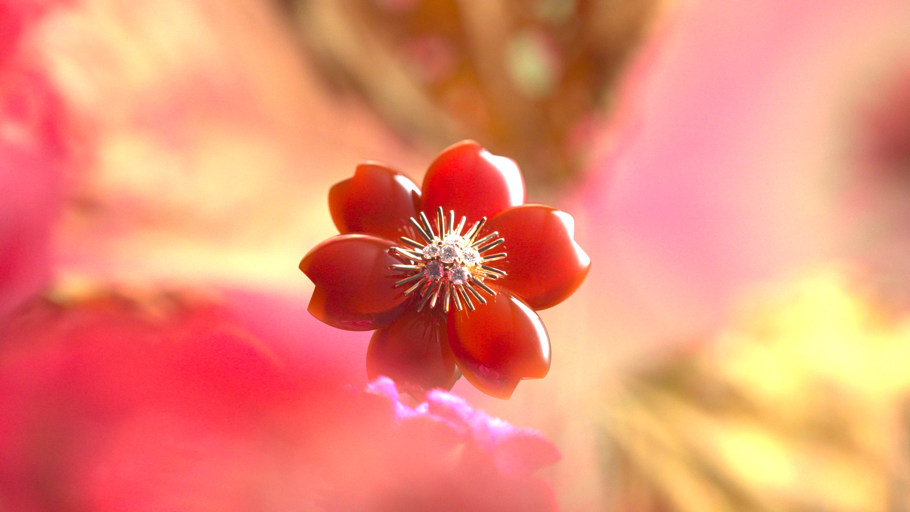 エキシビション Light Of Flowers 花と光 特別動画を公開 ヴァン クリーフ アーペルのプレスリリース