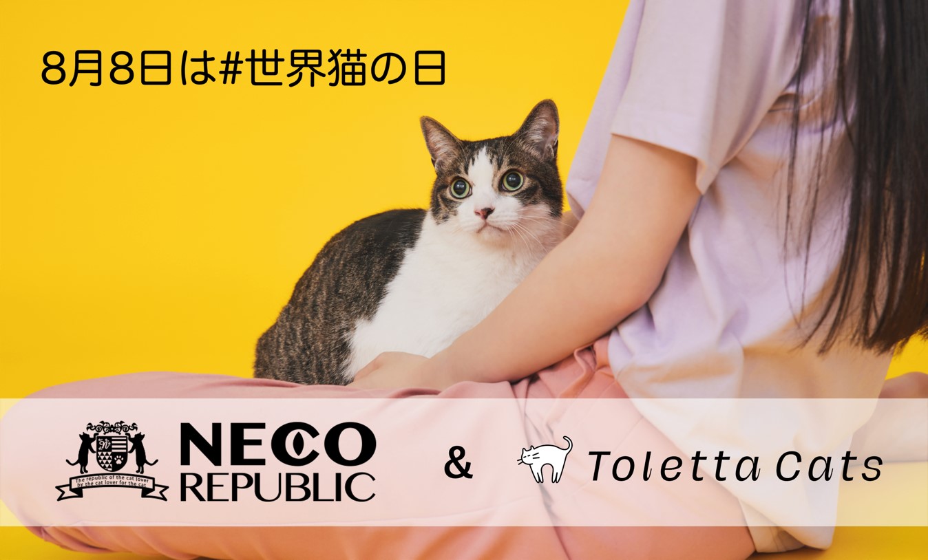 8月8日は 世界猫の日 すべての猫の幸せと健康を願って トレッタキャッツ ネコリパブリック トレッタで 愛猫ちゃんだけでなく保護猫の 幸せまでもが叶う3つの支援 株式会社ネコリパブリックのプレスリリース 8月8日は 世界猫の日 すべての猫の幸せと健康を願って トレッタキャッツ ネコリパブリック トレッタで 愛猫ちゃんだけでなく保護猫の 幸せまでもが叶う3つの支援 株式会社ネコリパブリックのプレスリリース