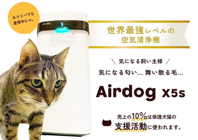 Airdog × ネコリパブリック」売り上げの10％が保護猫活動に役立つ