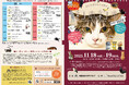神戸が猫まみれ、猫愛に包まれる2日間!日本最大級、保護猫イベント「ネコ市ネコ座」の全プログラムが発表!お買い物して、食べて、遊んで、学んで猫助け!保護猫を家族に向かる文化を広める「猫が助かる猫祭り」
