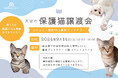 「天空の保護猫譲渡会」!? 秋葉原にて、保護猫活動支援「コミコミ×猫助け」POPUPイベントを9月10日(火)より書泉ブックタワーで開催!