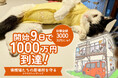 猫助けクラファン9日で1000万円到達!保護猫たちを永続的に守るために、目標金額3000万円まで邁進中!都内に中古一軒家を購入改装し、猫助けを加速するクラウドファンディング
