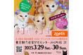 『ネコ市ネコ座@東京』猫が助かる猫祭りに世界最大の動物用医薬品メーカー「ゾエティス・ジャパン」がメインスポンサーとして決定!