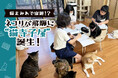「猫まみれで宿題!?」ネコリパ飛騨に“猫寺子屋”誕生!放課後は猫と一緒に宿題&お世話!保護猫活動が子どもたちの学び場に。