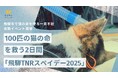 100匹の猫の命を救う2日間 「飛騨TNRスペイデー2025」飛騨市で猫の命を守る一斉不妊去勢イベント開催のお知らせ