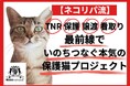 本気の「殺処分ゼロ」実現プロジェクト始動。猫の殺処分ゼロを“本当のゼロ”に！いのちを守るワンストップ保護猫プロジェクト、クラウドファンディング型ふるさと納税でスタート！