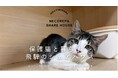 【岐阜県飛騨市】「猫と暮らす」が「猫助け」になる。保護猫8匹と人間5人が家族になる「ネコリパシェアハウス」入居者募集開始！〜空き家活用で猫と人の新しい共生モデル〜