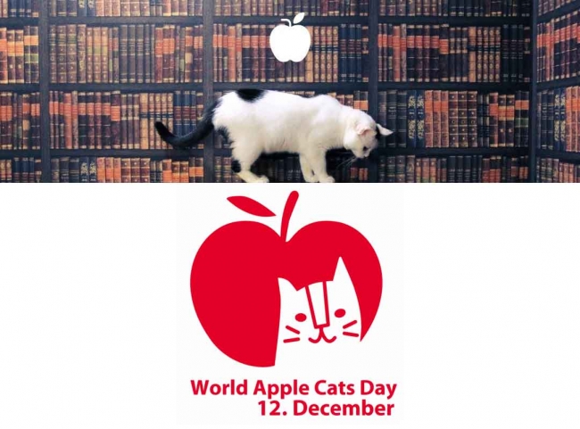 12月12日はりんご猫の日 エイズウィルスキャリアを持っていてもずっとの家族を 猫エイズ ウィルスに対する偏見をなくすために ネコリパブリックが定めた記念日を広めるsnsキャンペーンを22日間開催 株式会社ネコリパブリックのプレスリリース