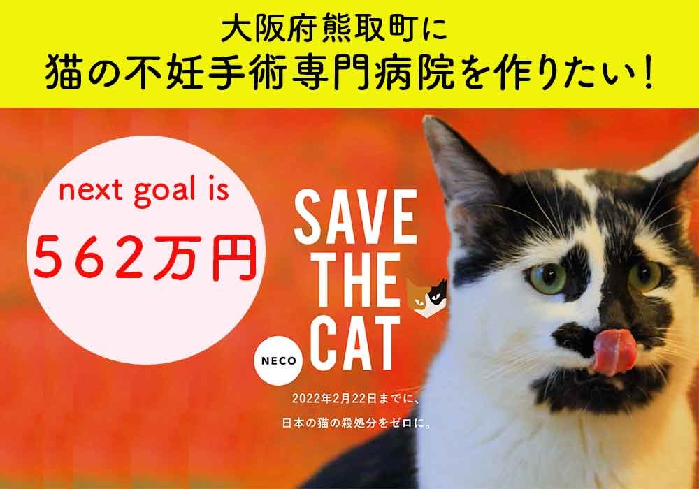 殺されてくるためだけに生まれてくる命をなくす 大阪府南部に野良猫不妊手術専門病院設立を目指しネコリパブリックfc店が562万円を目標にクラファン実施中 殺処分ゼロに向けて社会を変える第一歩を 株式会社ネコリパブリックのプレスリリース
