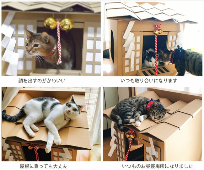 三密を避けておうちでネコ参り 愛猫がねこ神様になる ネコ好き設計士がつくったダンボールハウス ネコ 神社ハウス がクラウドファンディング開催中 株式会社ネコリパブリックのプレスリリース