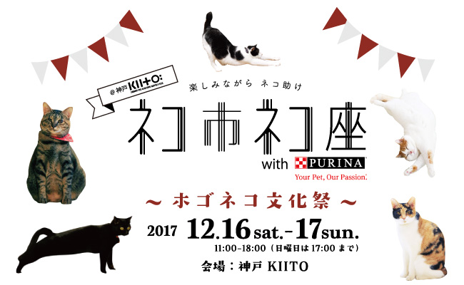 ただの猫祭りではニャイ 関西最大級 ネコ助かる猫祭り 12月16日17日に神戸で開催 前売りチケット販売開始 猫好きによる 猫のための 猫のイベント 猫 好きじゃない人も巻き込んで皆で楽しく猫助け 株式会社ネコリパブリックのプレスリリース
