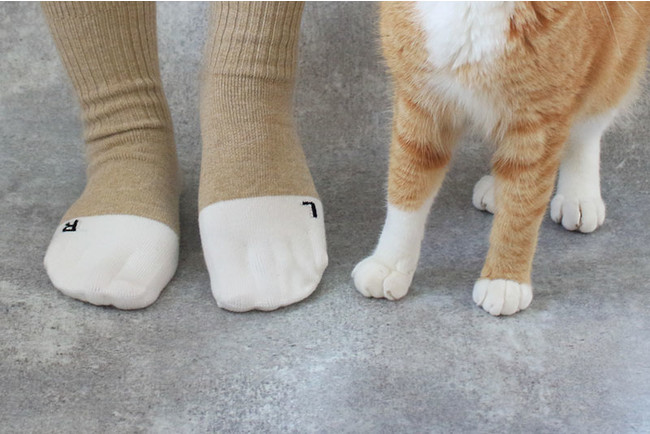 自分の足も猫足になれるソックス 靴下猫バージョン新発売ニャ 能ある猫は 爪隠す 猫が爪を隠している手足をイメージして編み上げた猫好きにはたまらない猫 助けできる靴下が登場 株式会社ネコリパブリックのプレスリリース
