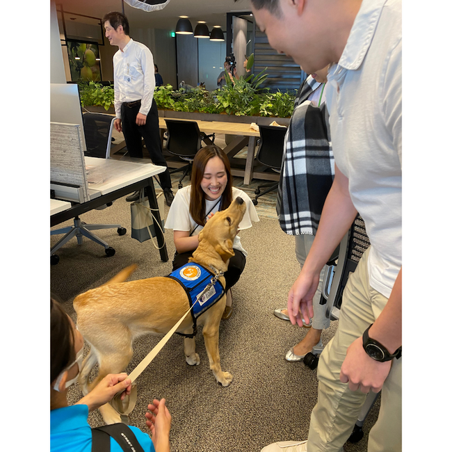 支援企業であるグッドマンジャパン株式会社は継続的に候補犬の社会化トレーニングにご協力を頂いています