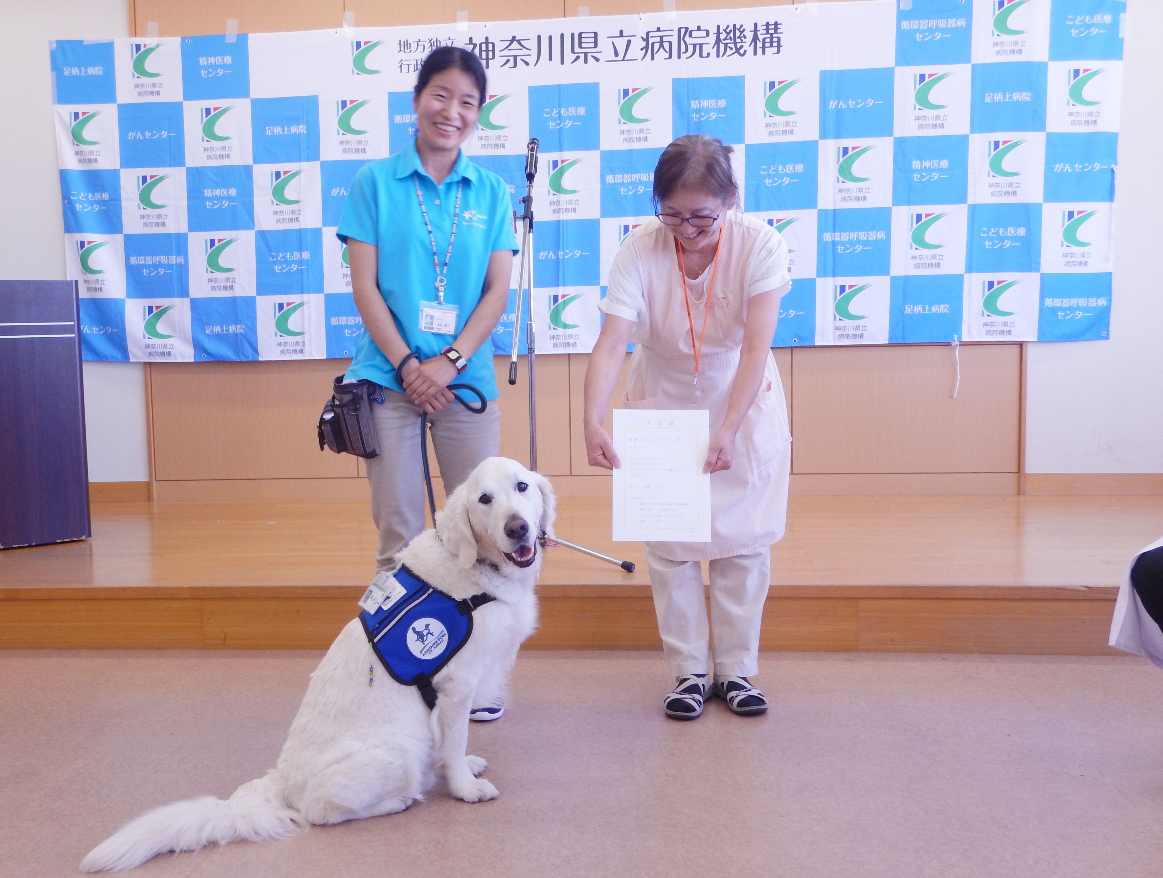 名誉ファシリティドッグ ベイリー ボランティア犬として正式活動開始 特定非営利活動法人シャイン オン キッズのプレスリリース