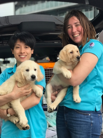 adi assistance dogs