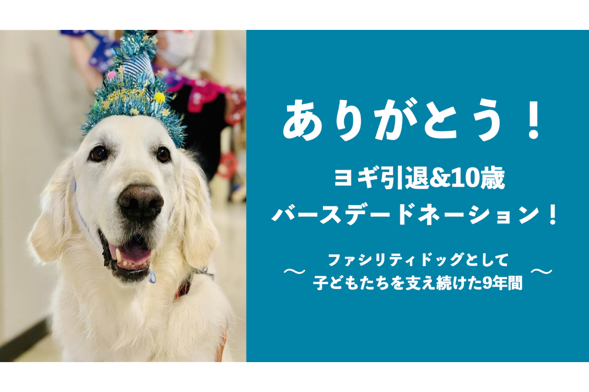 静岡県立こども病院のファシリティドッグ ヨギの引退を記念したバースデードネーションを開始 特定非営利活動法人シャイン オン キッズのプレスリリース