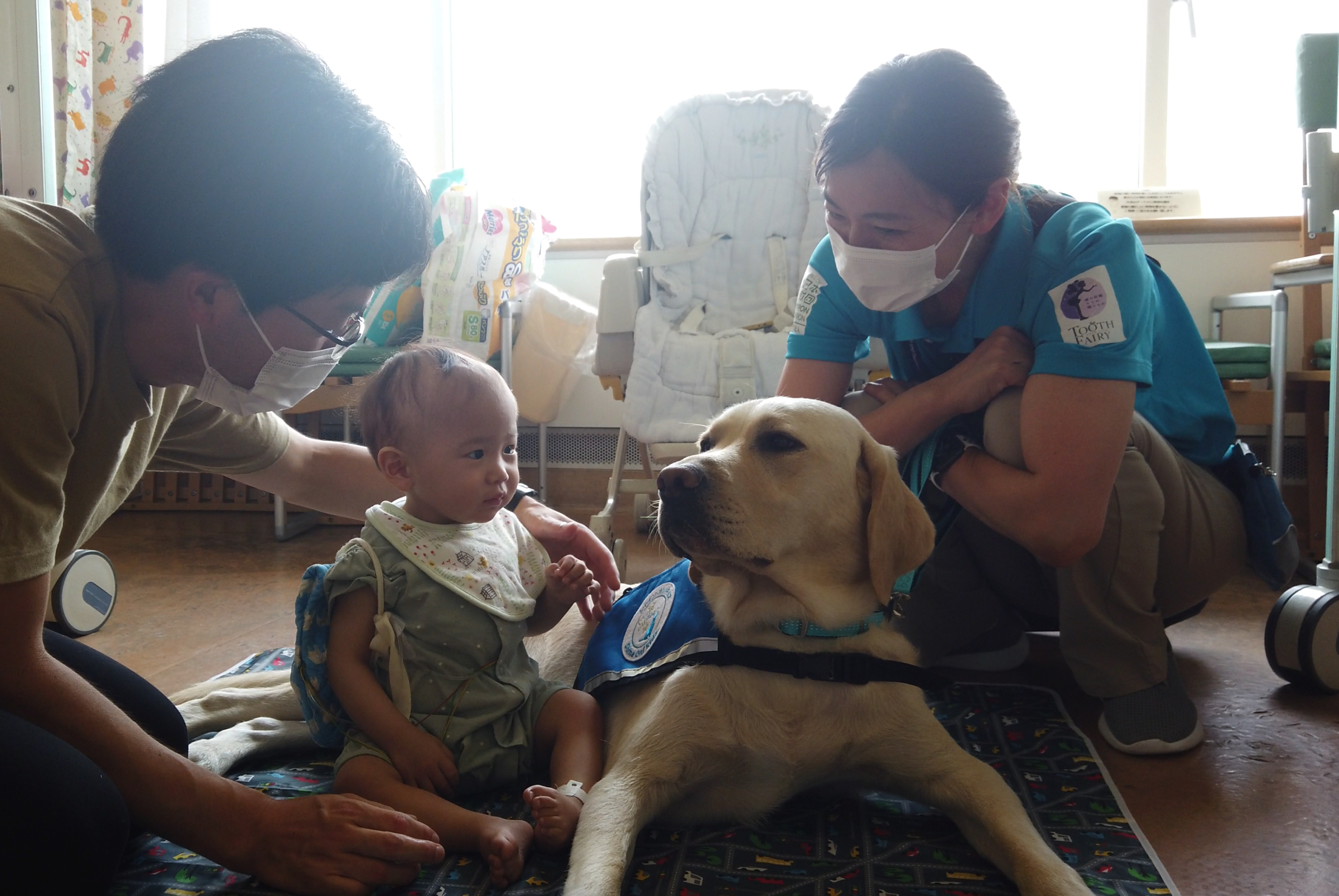 国内4病院目 国立成育医療研究センターでのファシリティドッグの活動開始 特定非営利活動法人シャイン オン キッズのプレスリリース