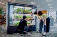 日販City Farming×オカムラ オフィス向け植物工場パッケージ「City Farming with Okamura」提供開始