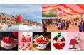 のべ40店舗以上!大人も子どもも楽しめる“いちご尽くし”の夢の空間「Yokohama Strawberry Festival 2025」詳細決定!2月6日(木)より計24日間 横浜赤レンガ倉庫にて開催