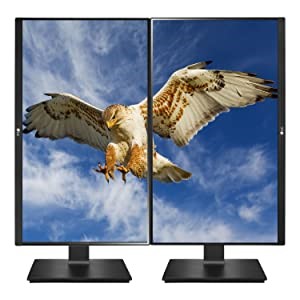 WQHDの広い作業領域を実現した23.8インチIPSモニター「24QP550-B」を5