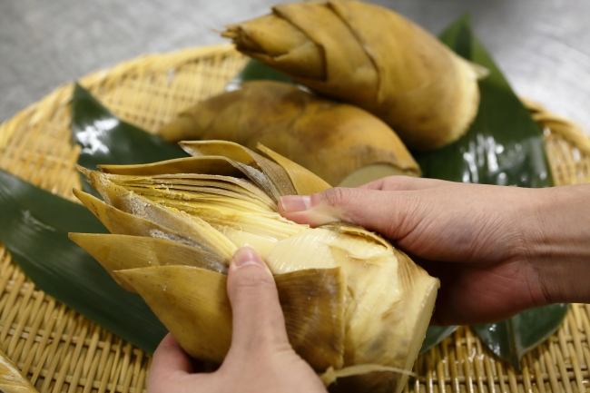 「筍」の豊かな風味を味わって