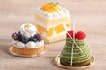 【シェラトン都ホテル大阪】抹茶×マンゴー×ベリーが奏でる甘美なハーモニー「初夏のスイーツ＆パン」販売