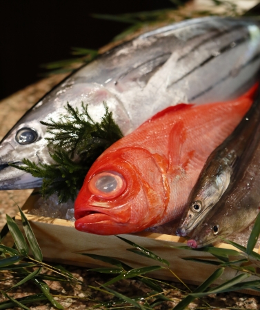 高知県産の新鮮な魚を中心に使ったメニューをご紹介