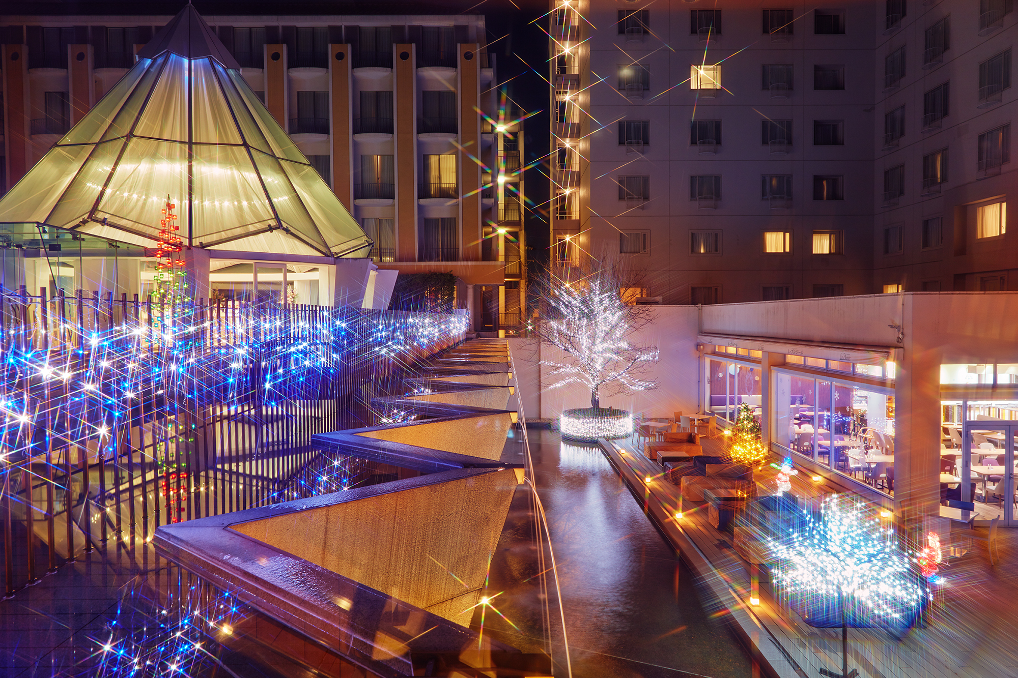 都ホテル 京都八条 イオンモールｋｙｏｔｏコラボレーション 祈りのブルークリスマス のご案内 都ホテルズ リゾーツのプレスリリース