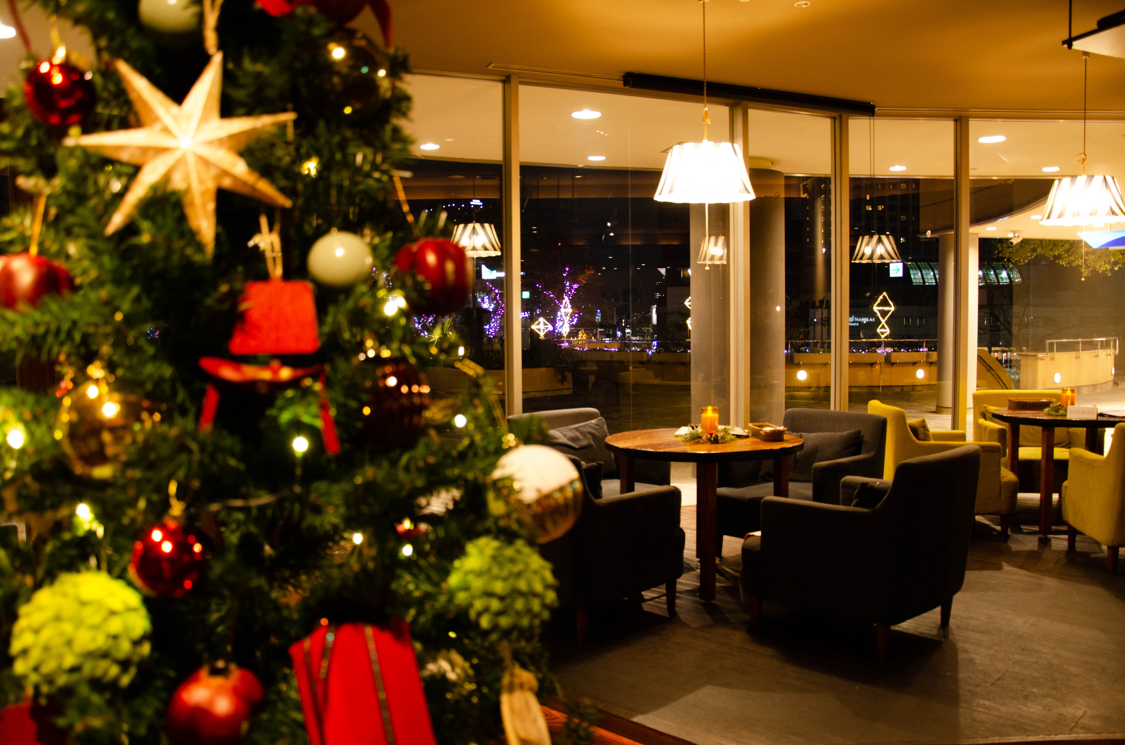 大阪 今からでも間に合うクリスマスディナー なんばパークスのイルミネーションを眺めながらクリスマスディナー を楽しめる限定コースを予約受付中 株式会社エスエルディーのプレスリリース
