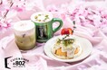 【渋谷の人気隠れ家カフェで今だけの春限定スイーツ】とろ~りチーズクリームと苺&抹茶のティラミスプリン!