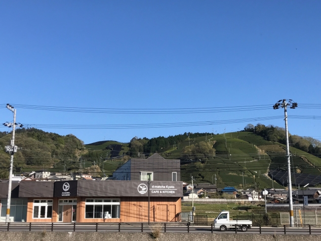 美しい茶畑が広がる和束町にて農業を営みつつ、日本茶文化を発信するカフェを運営しています。