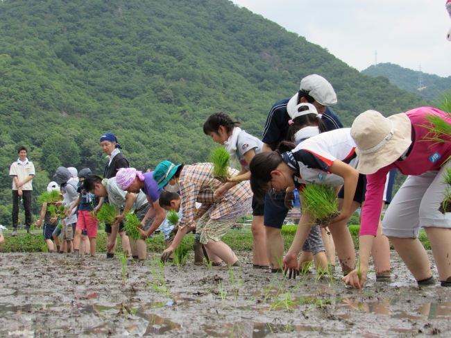 昨年のイベント風景(田植え)