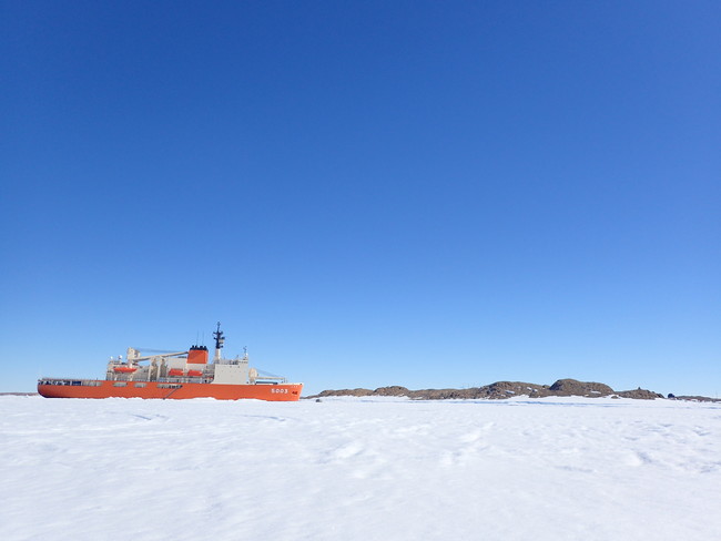 南極観測船 「しらせ」（写真提供：国立極地研究所）