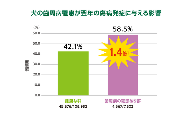 ※出典：アニコム損害保険(株) 犬全品種（0～18歳の犬）を対象に、基準日前後の保険金支払い状況から推計。 歯周病の定義…歯周病、歯肉炎、歯槽膿漏、歯根膿瘍、根尖膿瘍（乳歯遺残起因によるもの含む）