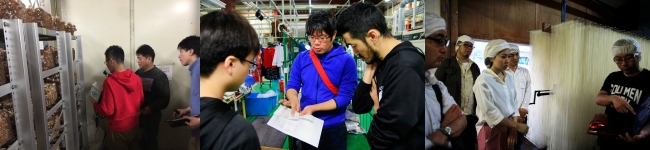 【フィールドワークの様子】左：しいたけ工場にセンサーを設置する参加者、中央：クリーニング店を視察する参加者、右：そうめん製造工場を視察する参加者