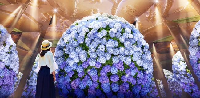 ヨーロッパの街並みにあじさいが咲く 初夏の絶景ー日本最多1 250品種が彩る あじさい祭 ー ハウステンボス株式会社のプレスリリース