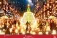 本場ヨーロッパの街並みを舞台に過去最大スケールのクリスマス　見渡す限りクリスマスで彩られた空間に、日本唯一のシンボルツリーと星が降り注ぐ新イルミネーションが加わり、心奪われる美しい光景が広がる