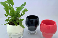 グンゼの直営レディースショップ都内初出店 Tuche Gunze トゥシェ グンゼ 北千住マルイ店 グンゼ株式会社のプレスリリース