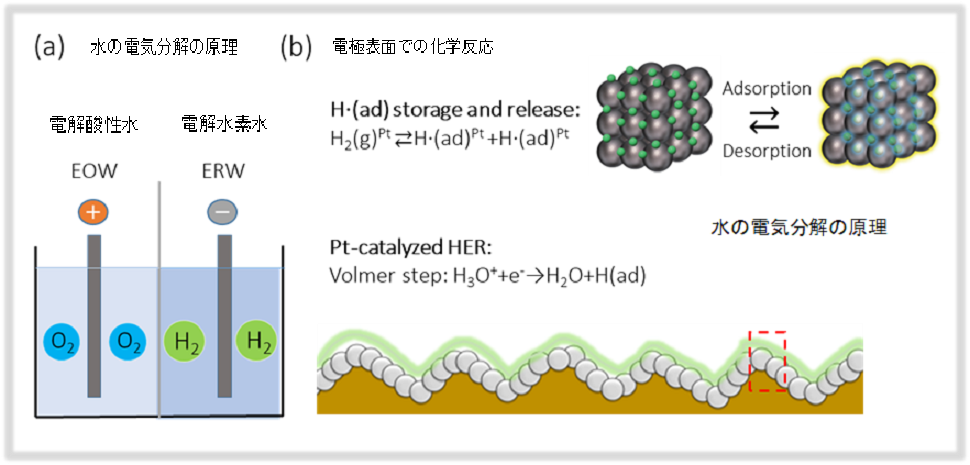 電解水素水の生体に対する様々な潜在的効果の根源は特徴的な白金コート電極にある 株式会社日本トリムのプレスリリース