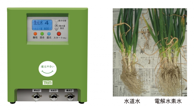 左：日本トリム制還元野菜整水器　右：青ネギ試験
